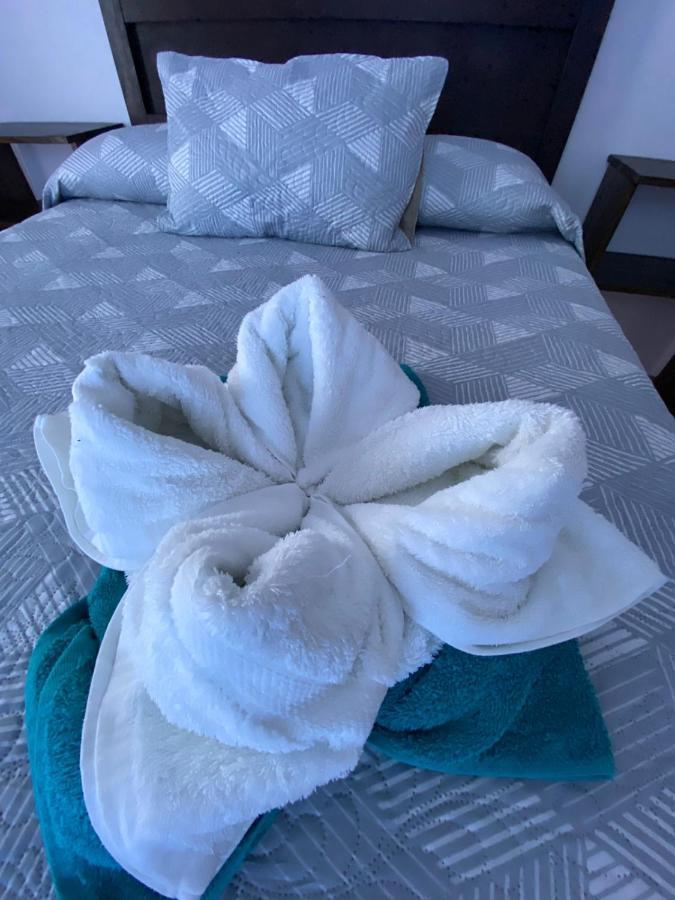 Twin Palms Lodge Монте-Верде Экстерьер фото